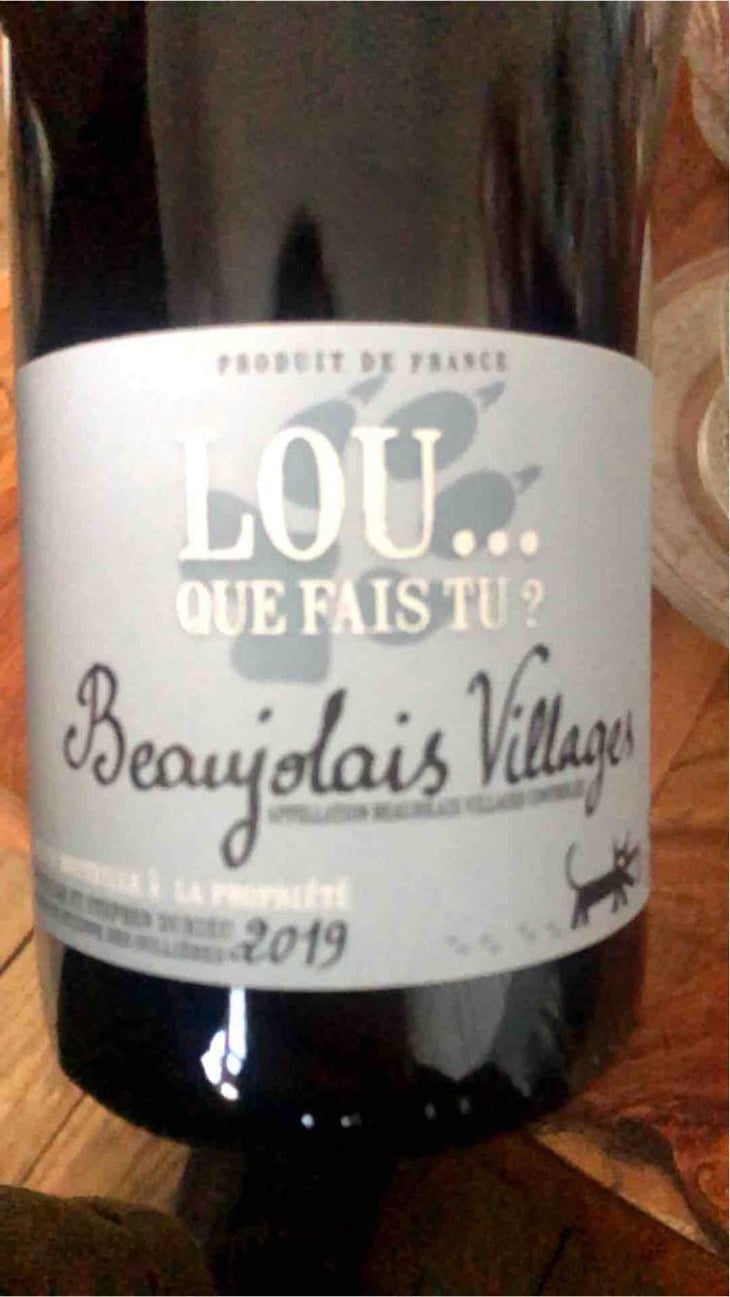 Lou Que Fais Tu - Lou. Y Es-Tu? - Mathilde & Stephen Durieu 