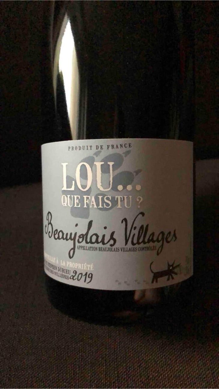 Lou Que Fais Tu - Lou. Y Es-Tu? - Mathilde & Stephen Durieu 
