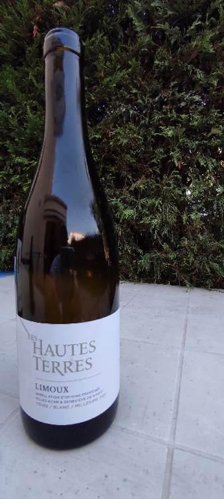 Louis - Les Hautes Terres - Gilles Azam et Genneviève de Groot 