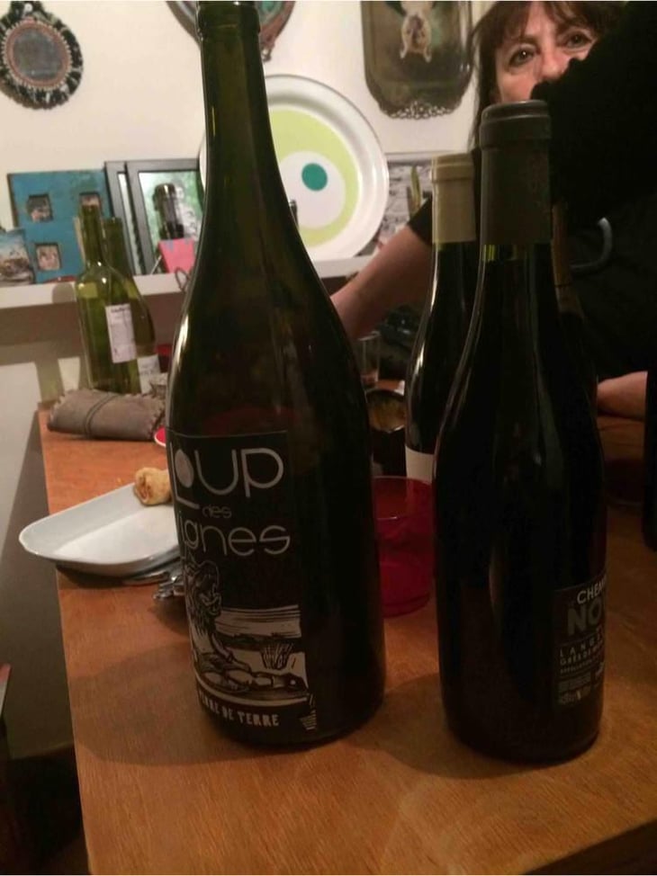 Loup Des Vignes - Loup des Vignes - Benoît Rosenberger 