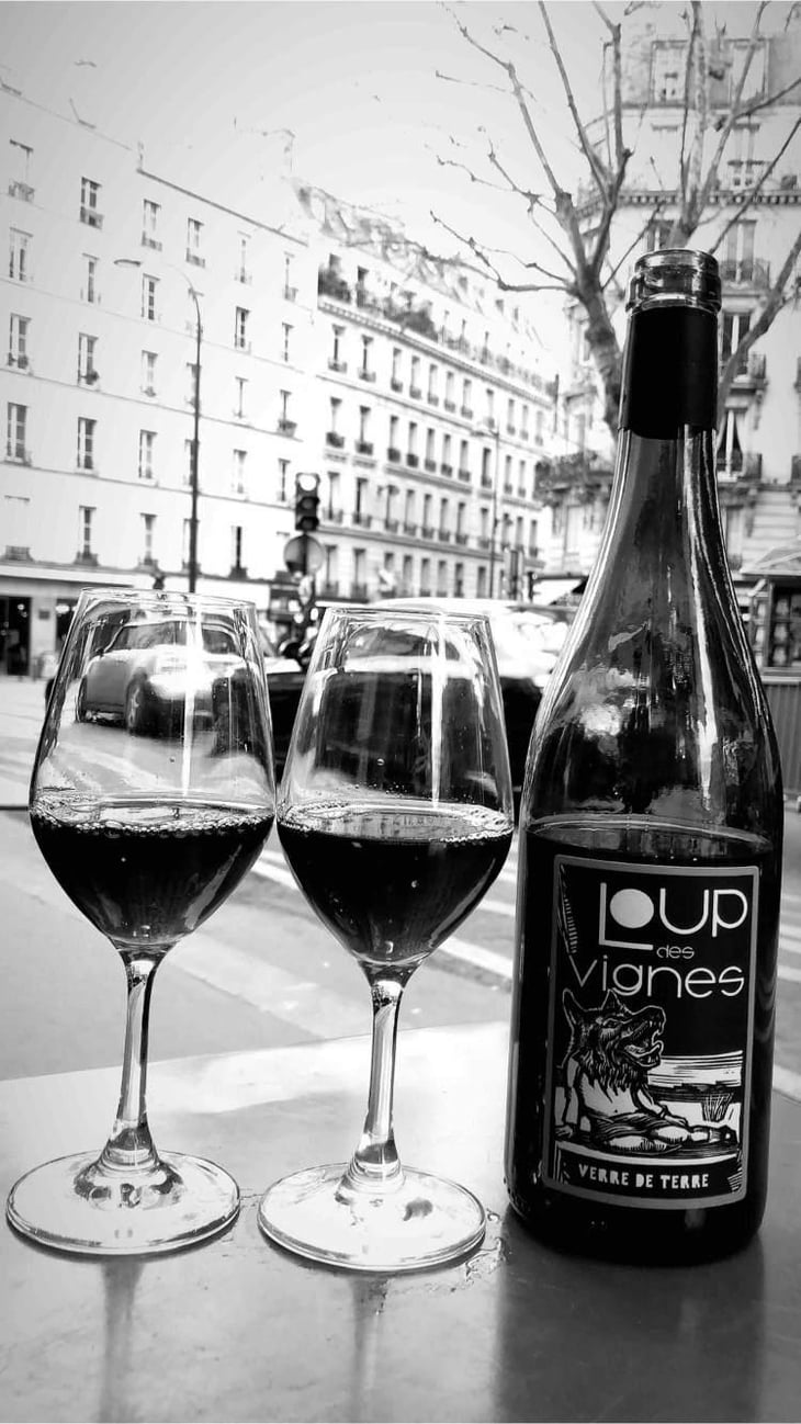 Loup Des Vignes - Loup des Vignes - Benoît Rosenberger 