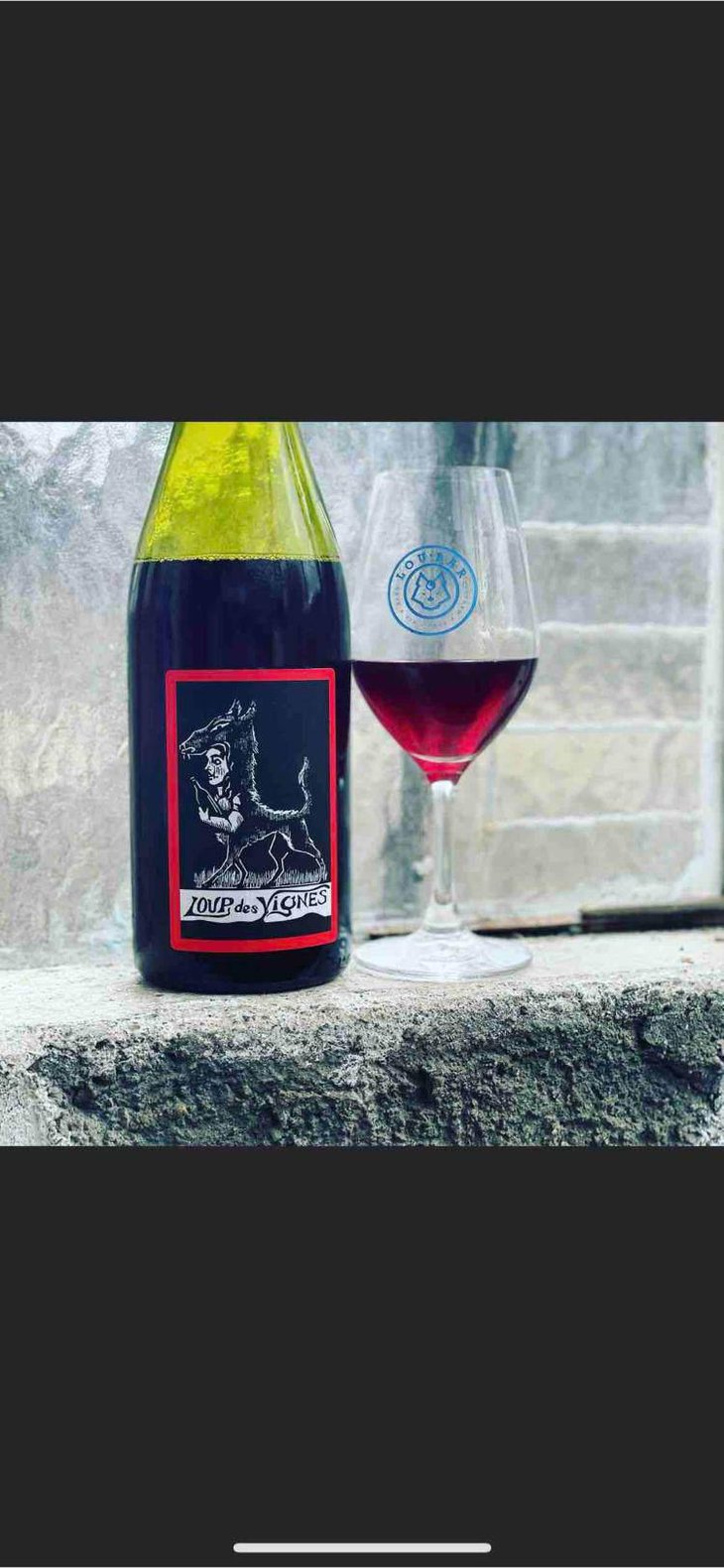 Loup Des Vignes - Loup des Vignes - Benoît Rosenberger 