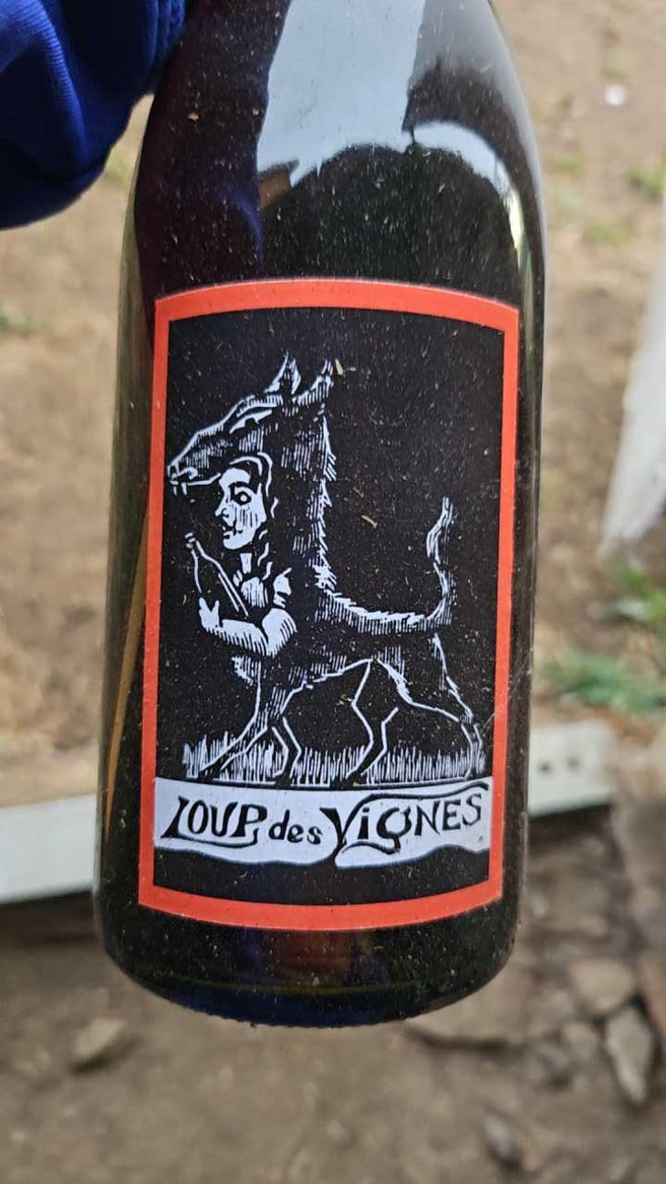 Loup Des Vignes - Loup des Vignes - Benoît Rosenberger 