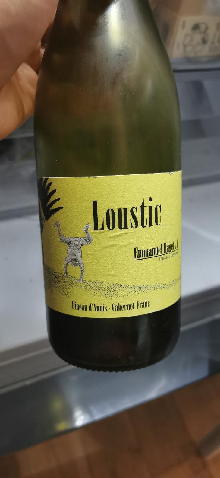 Loustic - Emmanuel Haget - Emmanuel Haget 