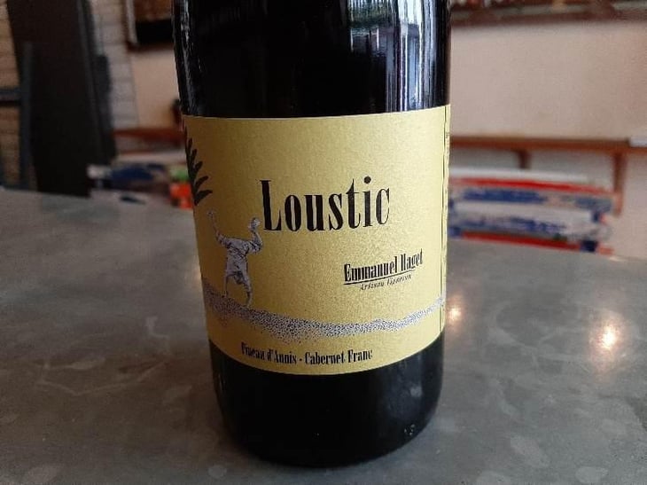 Loustic - Emmanuel Haget - Emmanuel Haget 