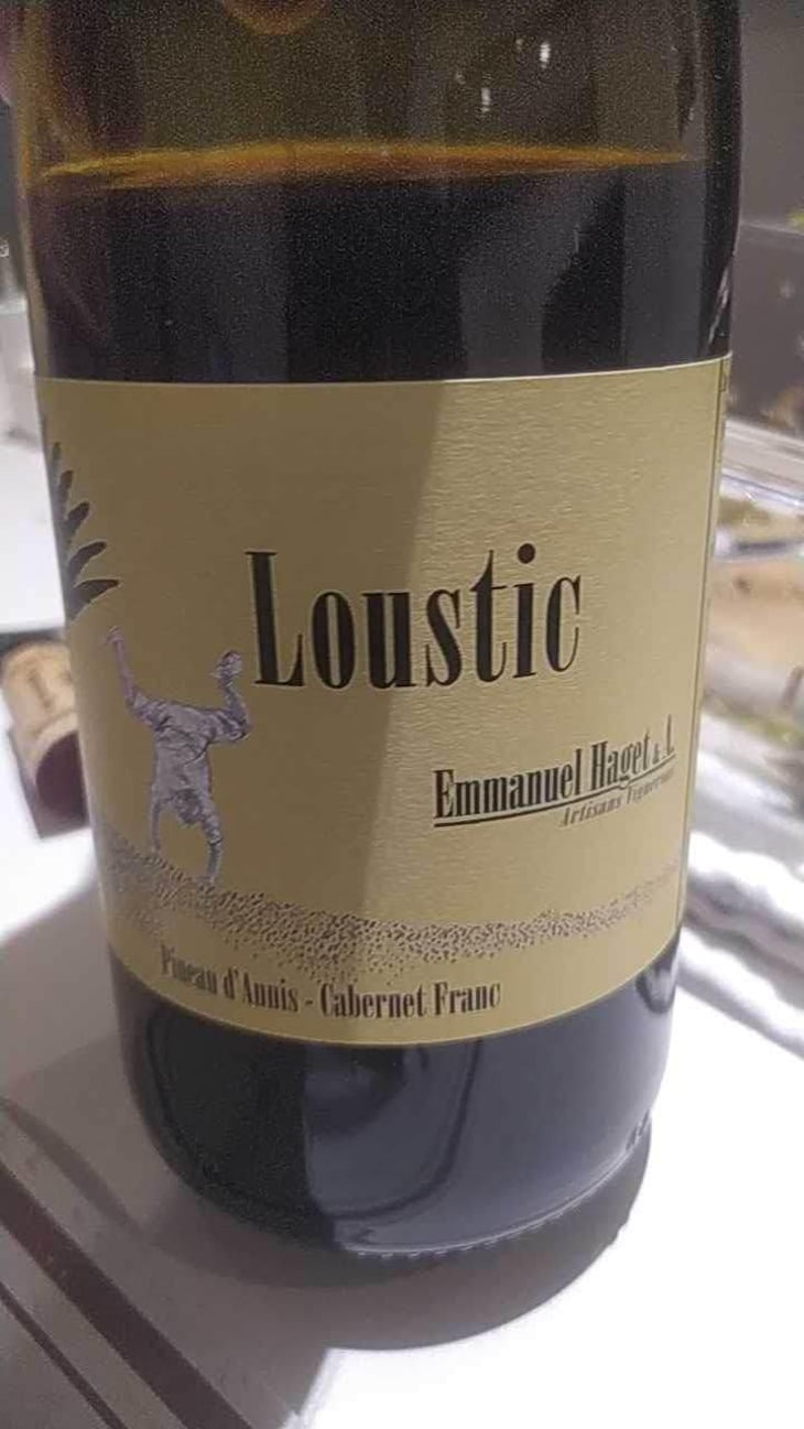 Loustic - Emmanuel Haget - Emmanuel Haget 