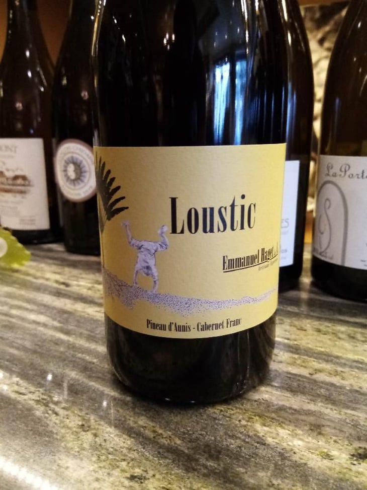 Loustic - Emmanuel Haget - Emmanuel Haget 