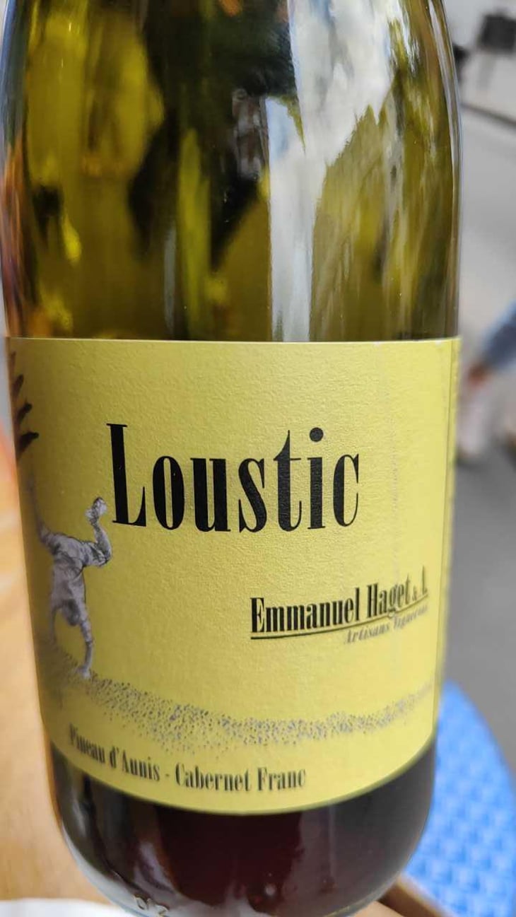 Loustic - Emmanuel Haget - Emmanuel Haget 