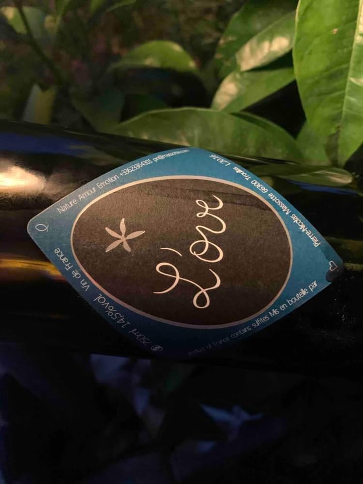 L'ove - Clos Massotte - Pierre Nicolas Massotte 