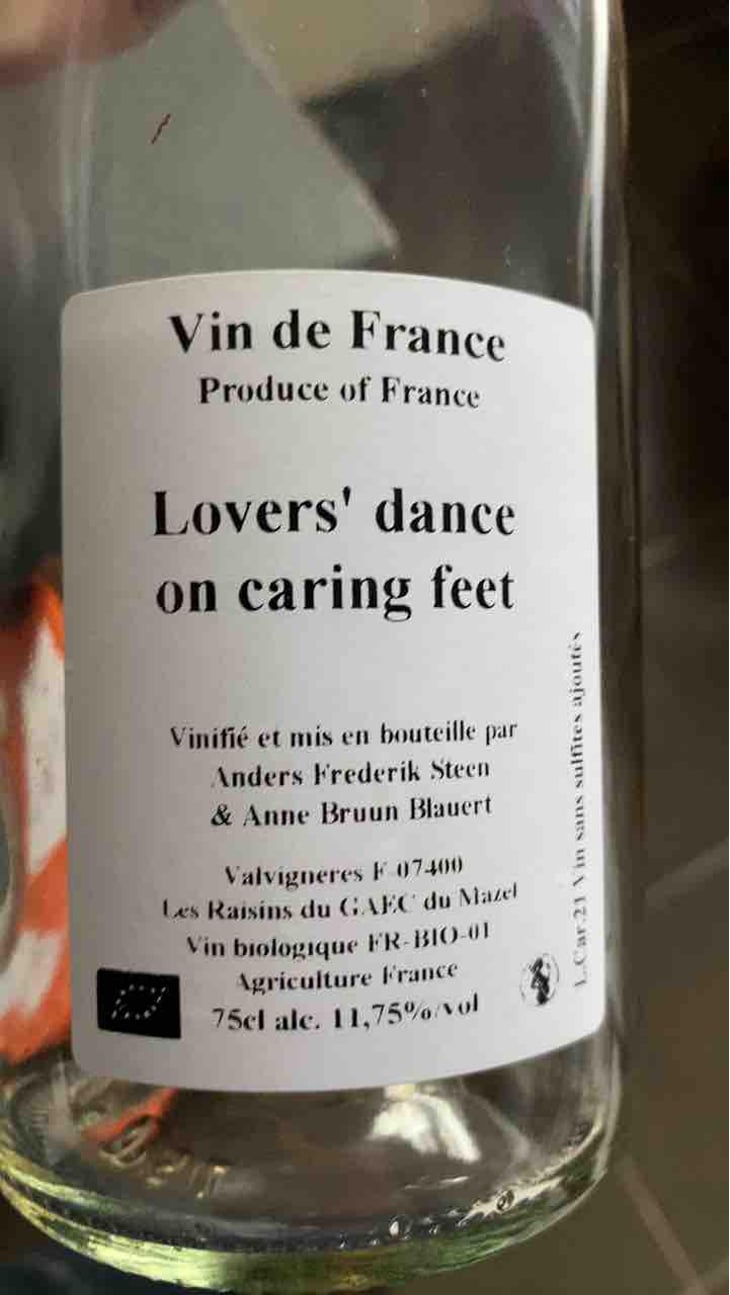 Lovers' dance on caring feet - Anders Frederik Steen & Anne Bruun Blauert - Anders Frederik Steen & Anne Bruun Blauert -2021