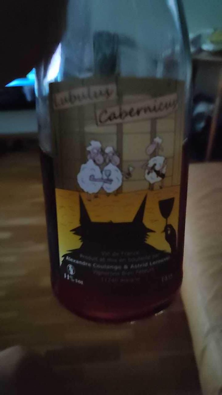 Lubulus Cabernicus - Domaine Thuronis - Vigneron Bien Fêteur - Alexandre Coulange & Astrid Lerouxel -2019