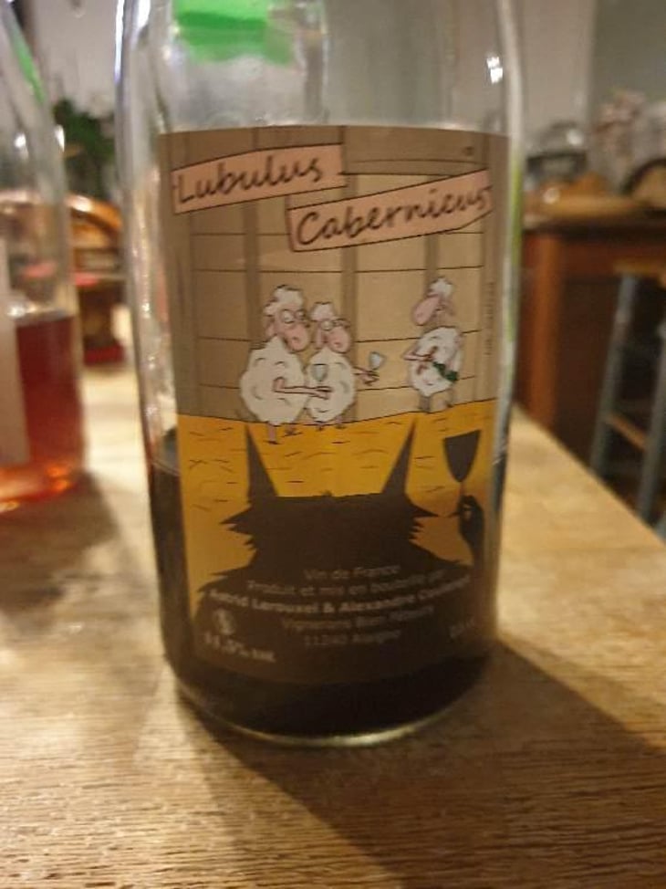 Lubulus Cabernicus - Domaine Thuronis - Vigneron Bien Fêteur - Alexandre Coulange & Astrid Lerouxel -2019