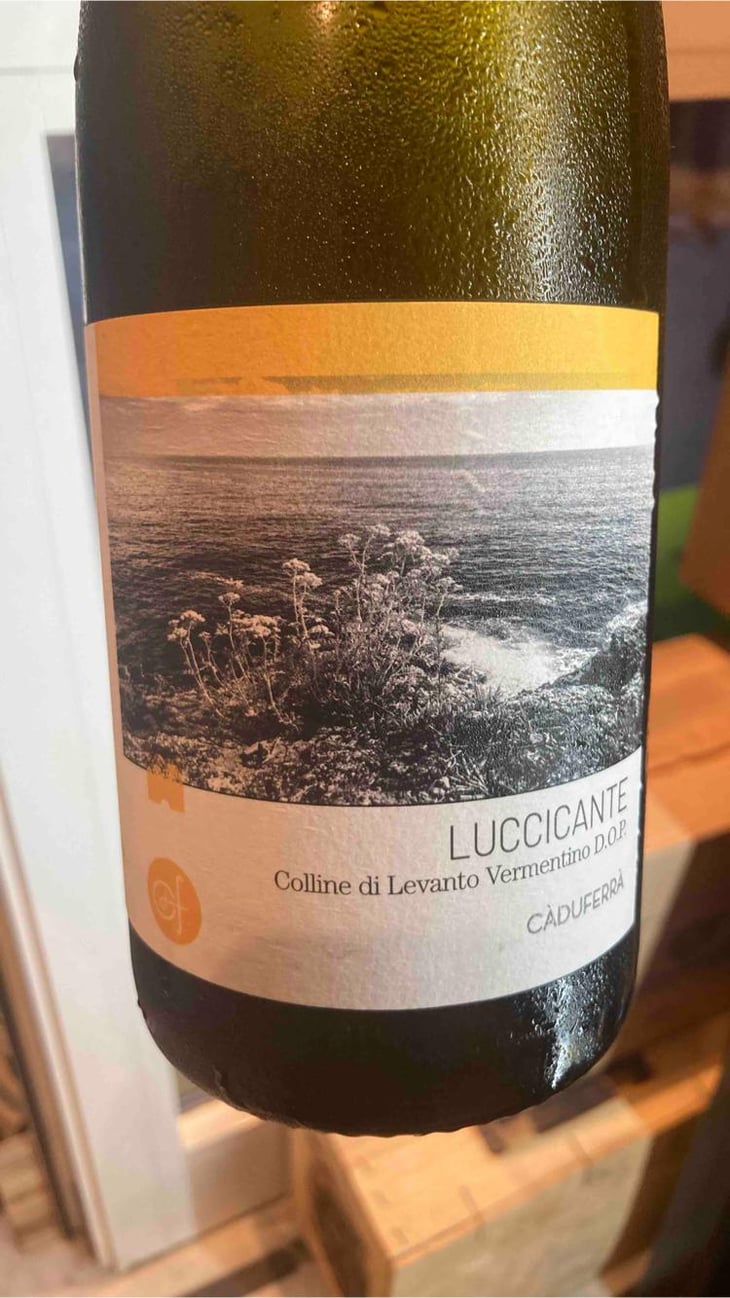 Luccicante - Cà du Ferrà - Davide Zoppi & Aida Forgione -2022