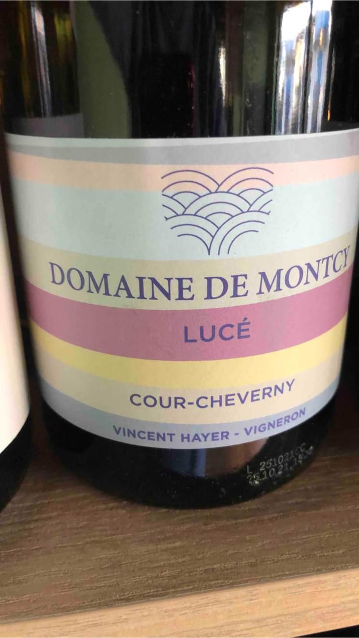 Lucé Cour Cheverny - Domaine de Montcy - Vincent Hayer -2019