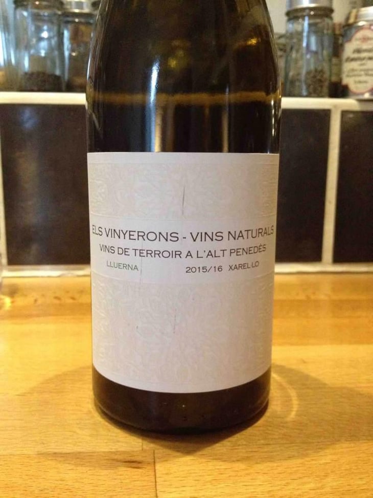 Lluerna - Els Vinyerons / Sin Project - Amós Bañeres Merinero & Alex Ruiz Masachs 