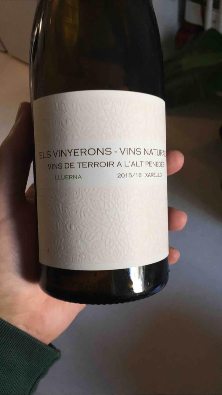 Lluerna - Els Vinyerons / Sin Project - Amós Bañeres Merinero & Alex Ruiz Masachs 
