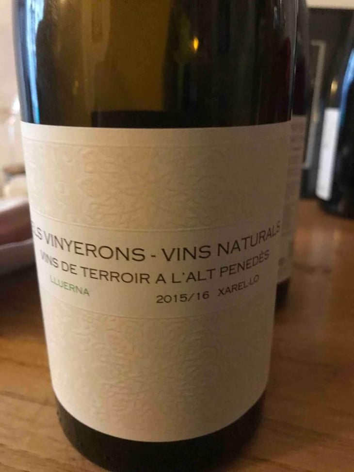 Lluerna - Els Vinyerons / Sin Project - Amós Bañeres Merinero & Alex Ruiz Masachs 