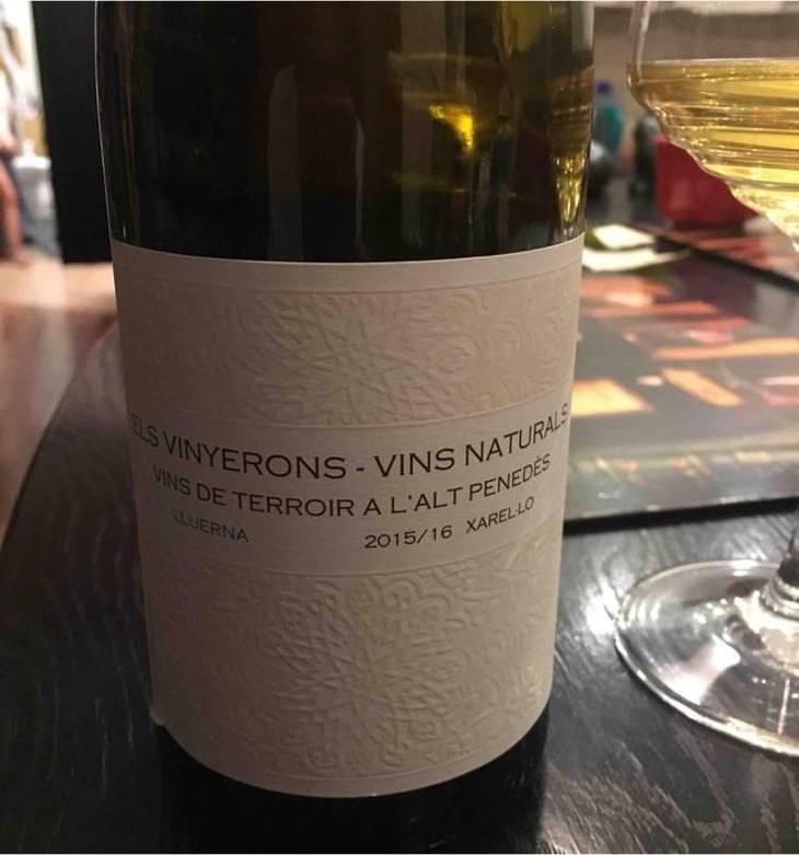 Lluerna - Els Vinyerons / Sin Project - Amós Bañeres Merinero & Alex Ruiz Masachs 