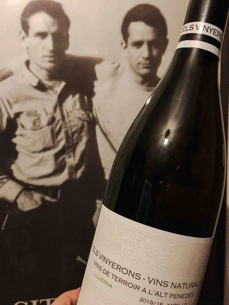 Lluerna - Els Vinyerons / Sin Project - Amós Bañeres Merinero & Alex Ruiz Masachs 