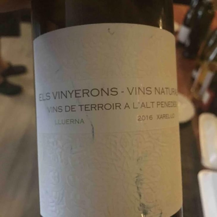 Lluerna - Els Vinyerons / Sin Project - Amós Bañeres Merinero & Alex Ruiz Masachs 