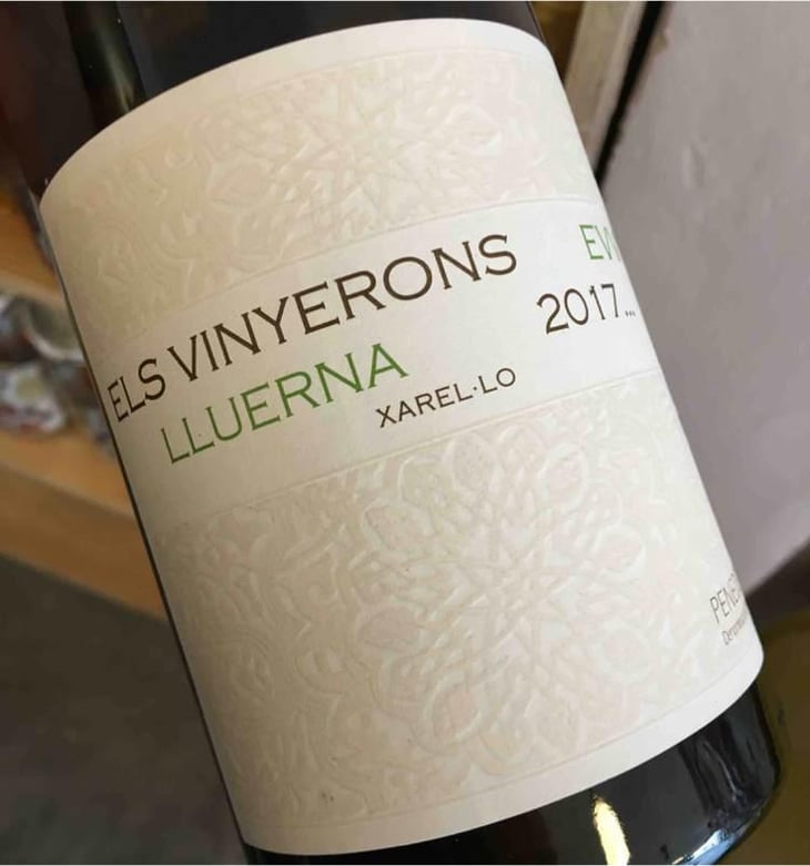 Lluerna - Els Vinyerons / Sin Project - Amós Bañeres Merinero & Alex Ruiz Masachs 