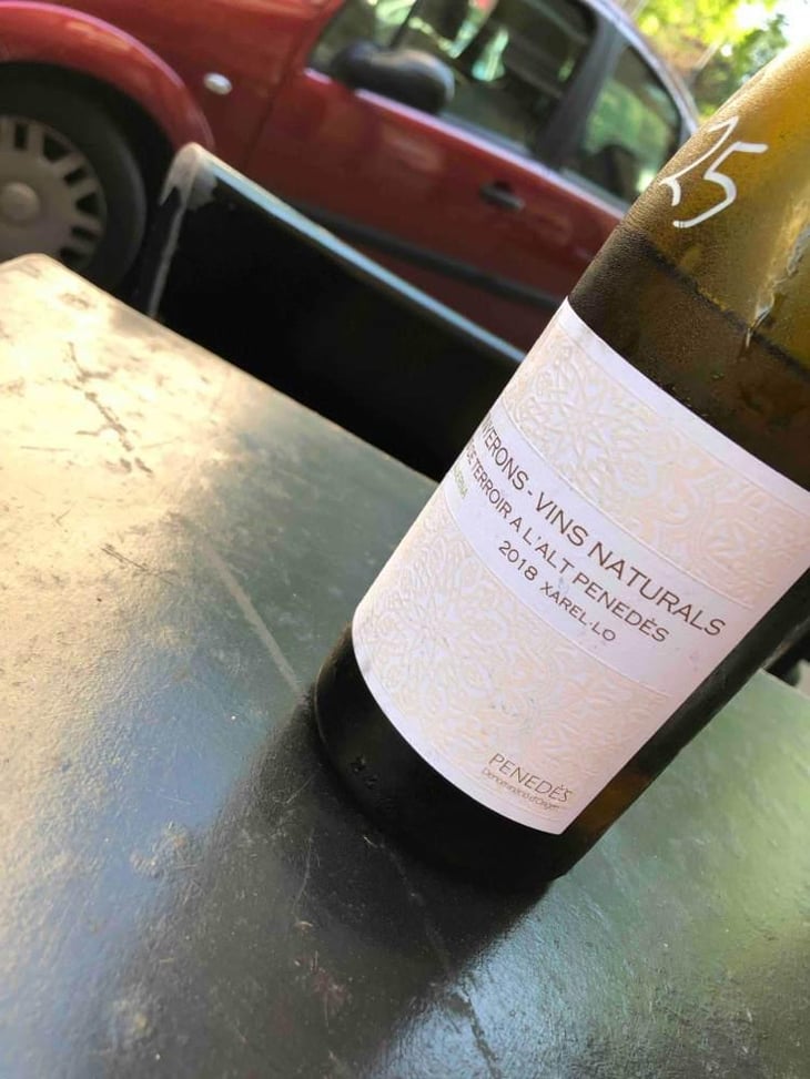 Lluerna - Els Vinyerons / Sin Project - Amós Bañeres Merinero & Alex Ruiz Masachs 