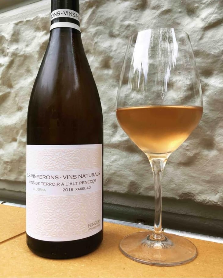 Lluerna - Els Vinyerons / Sin Project - Amós Bañeres Merinero & Alex Ruiz Masachs 