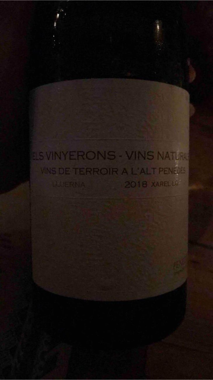 Lluerna - Els Vinyerons / Sin Project - Amós Bañeres Merinero & Alex Ruiz Masachs 