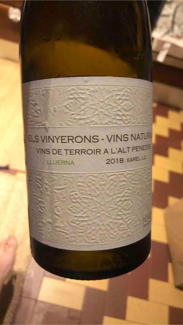 Lluerna - Els Vinyerons / Sin Project - Amós Bañeres Merinero & Alex Ruiz Masachs 