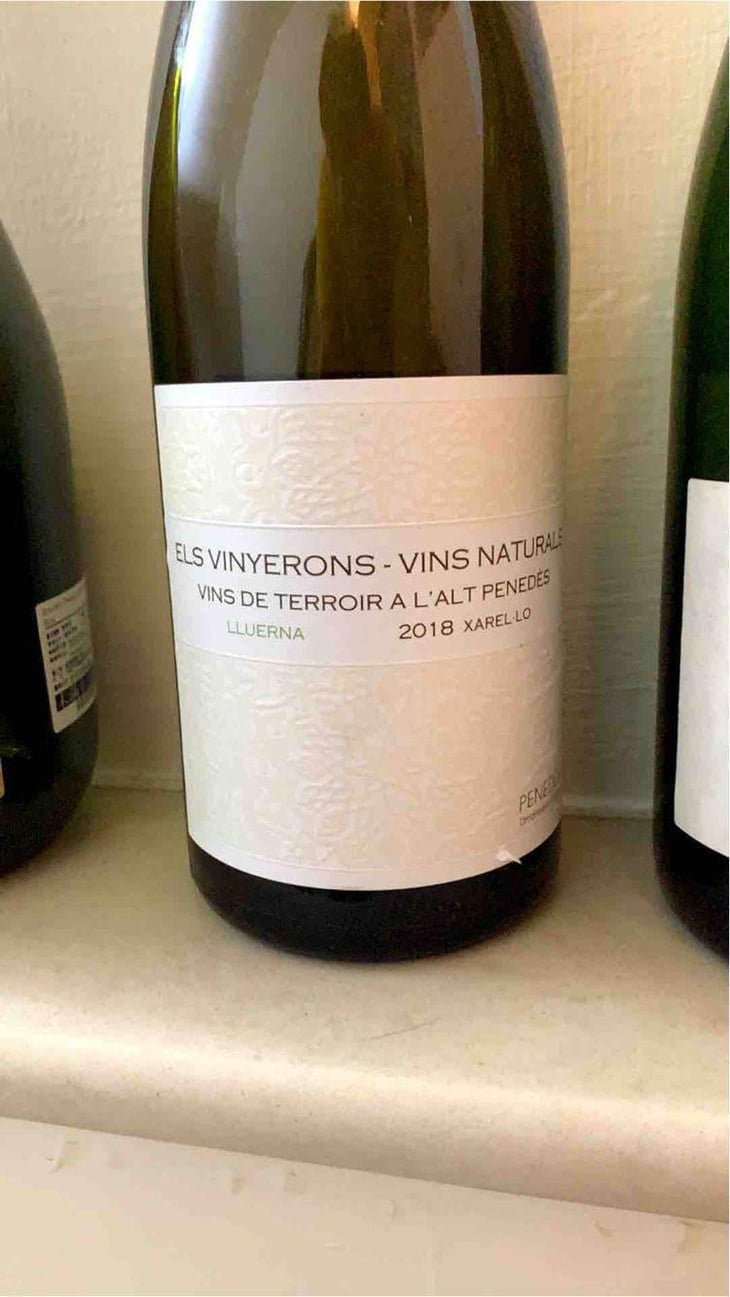 Lluerna - Els Vinyerons / Sin Project - Amós Bañeres Merinero & Alex Ruiz Masachs 