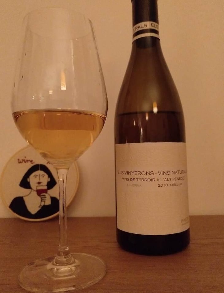 Lluerna - Els Vinyerons / Sin Project - Amós Bañeres Merinero & Alex Ruiz Masachs 