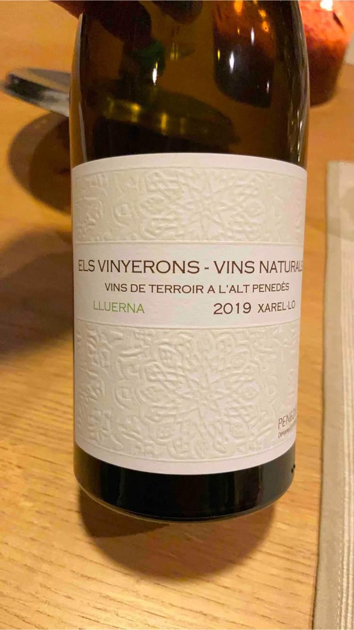 Lluerna - Els Vinyerons / Sin Project - Amós Bañeres Merinero & Alex Ruiz Masachs 