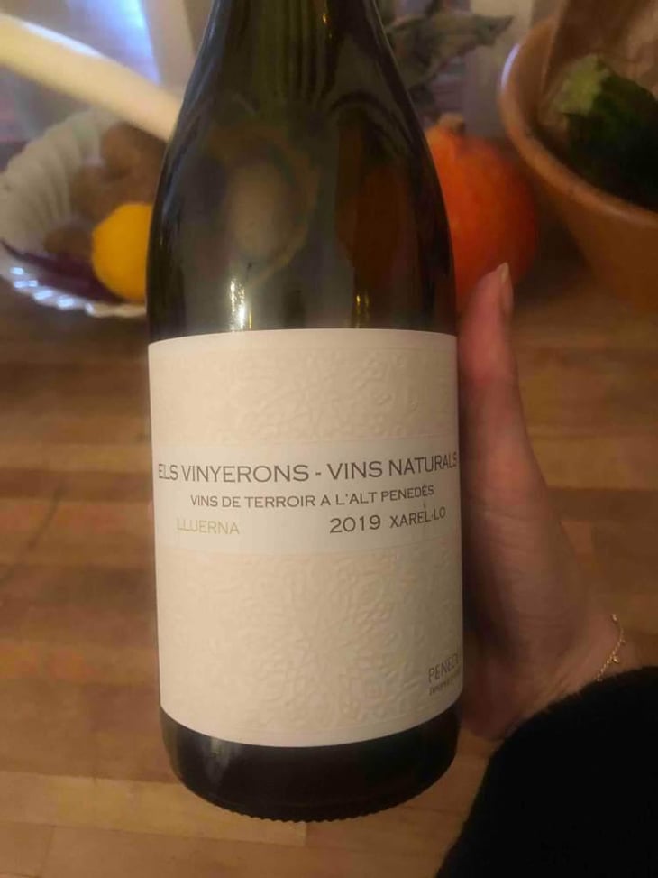 Lluerna - Els Vinyerons / Sin Project - Amós Bañeres Merinero & Alex Ruiz Masachs 