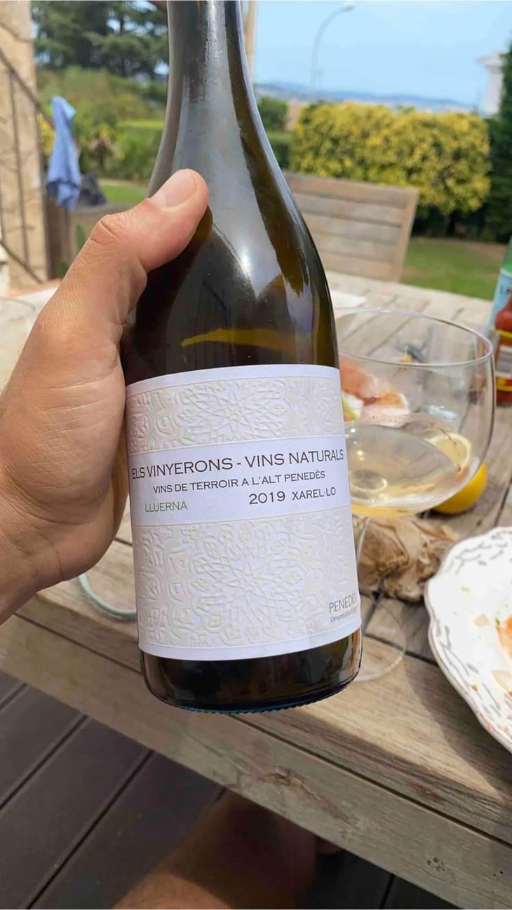 Lluerna - Els Vinyerons / Sin Project - Amós Bañeres Merinero & Alex Ruiz Masachs 