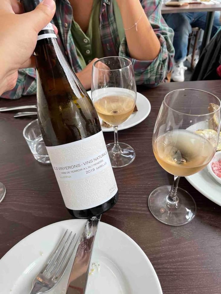 Lluerna - Els Vinyerons / Sin Project - Amós Bañeres Merinero & Alex Ruiz Masachs 