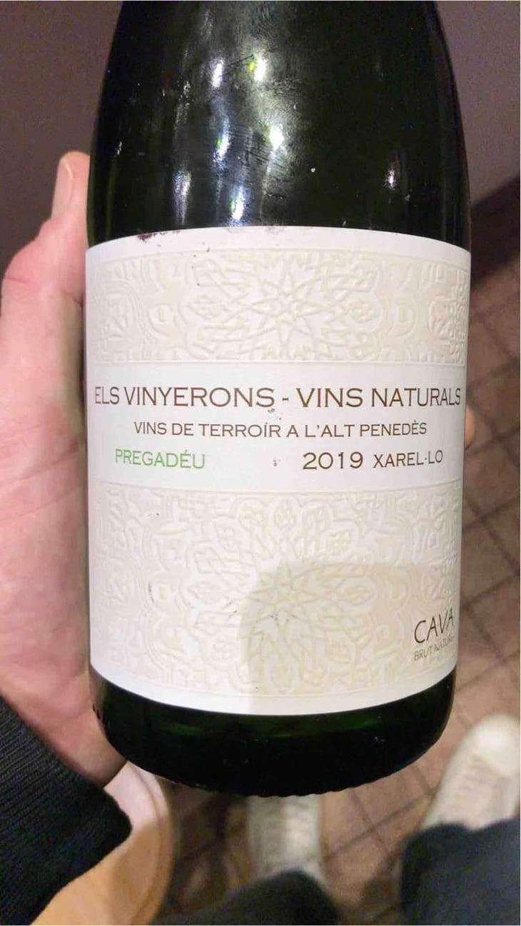 Lluerna - Els Vinyerons / Sin Project - Amós Bañeres Merinero & Alex Ruiz Masachs 