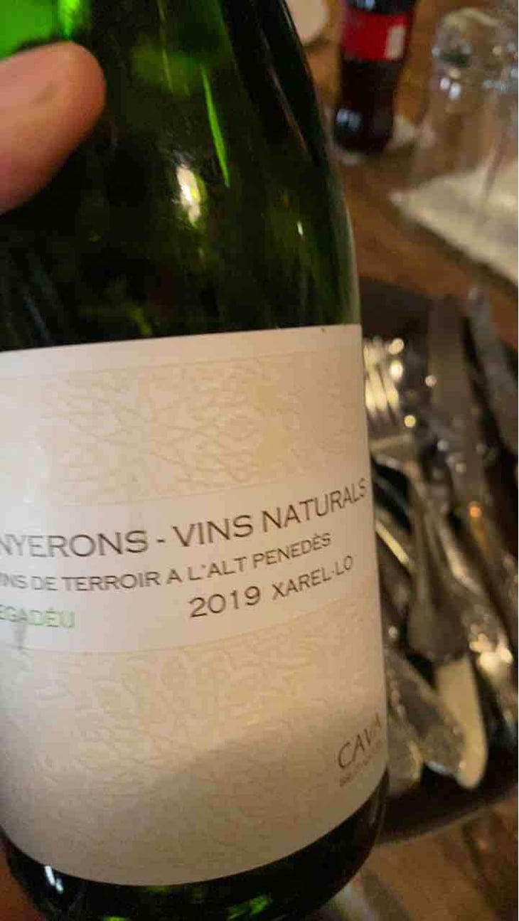 Lluerna - Els Vinyerons / Sin Project - Amós Bañeres Merinero & Alex Ruiz Masachs 