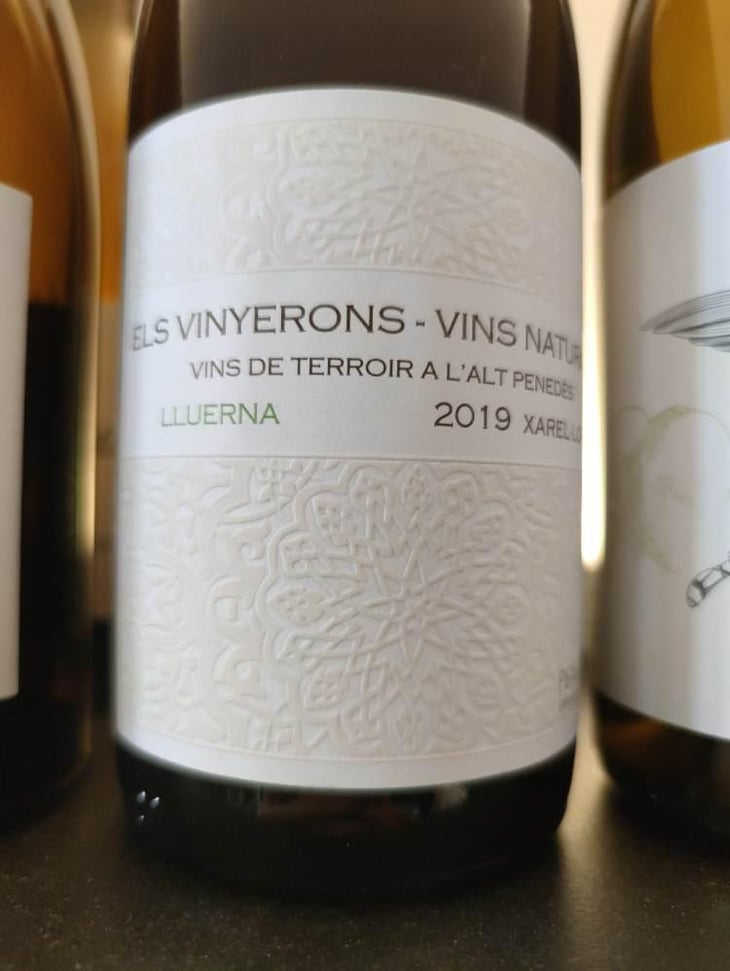 Lluerna - Els Vinyerons / Sin Project - Amós Bañeres Merinero & Alex Ruiz Masachs 