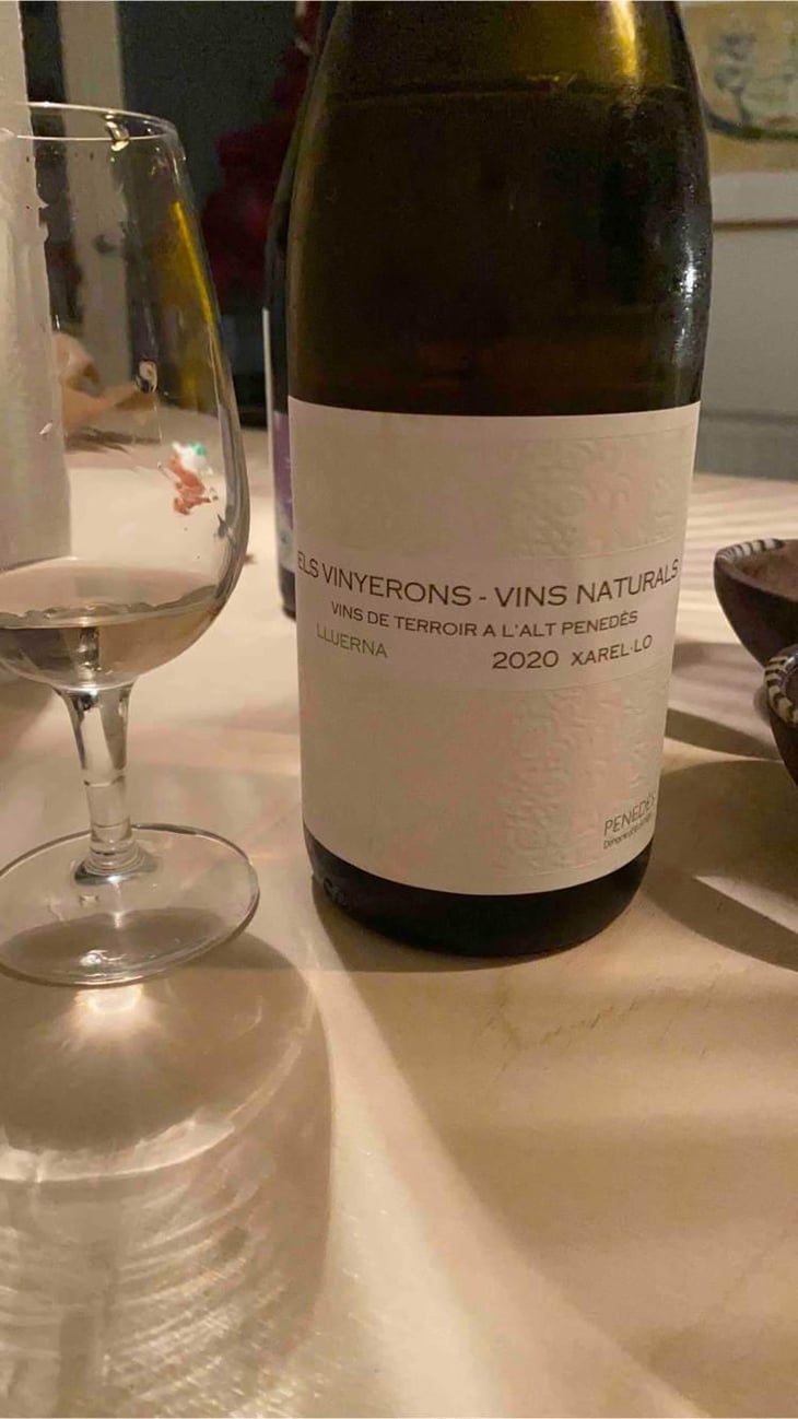 Lluerna - Els Vinyerons / Sin Project - Amós Bañeres Merinero & Alex Ruiz Masachs 