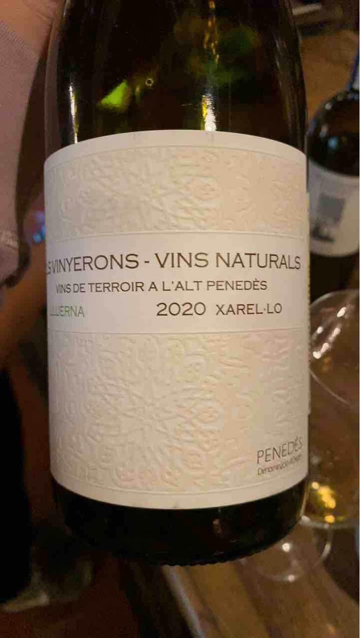Lluerna - Els Vinyerons / Sin Project - Amós Bañeres Merinero & Alex Ruiz Masachs 