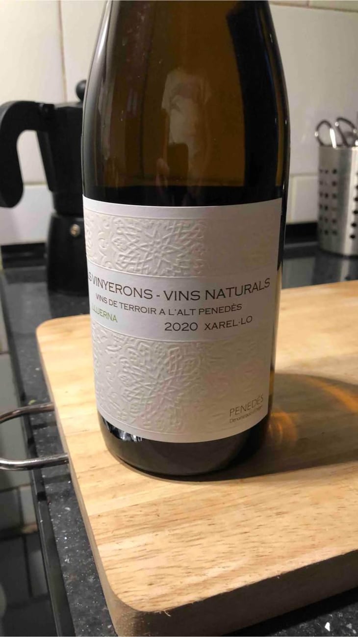 Lluerna - Els Vinyerons / Sin Project - Amós Bañeres Merinero & Alex Ruiz Masachs 