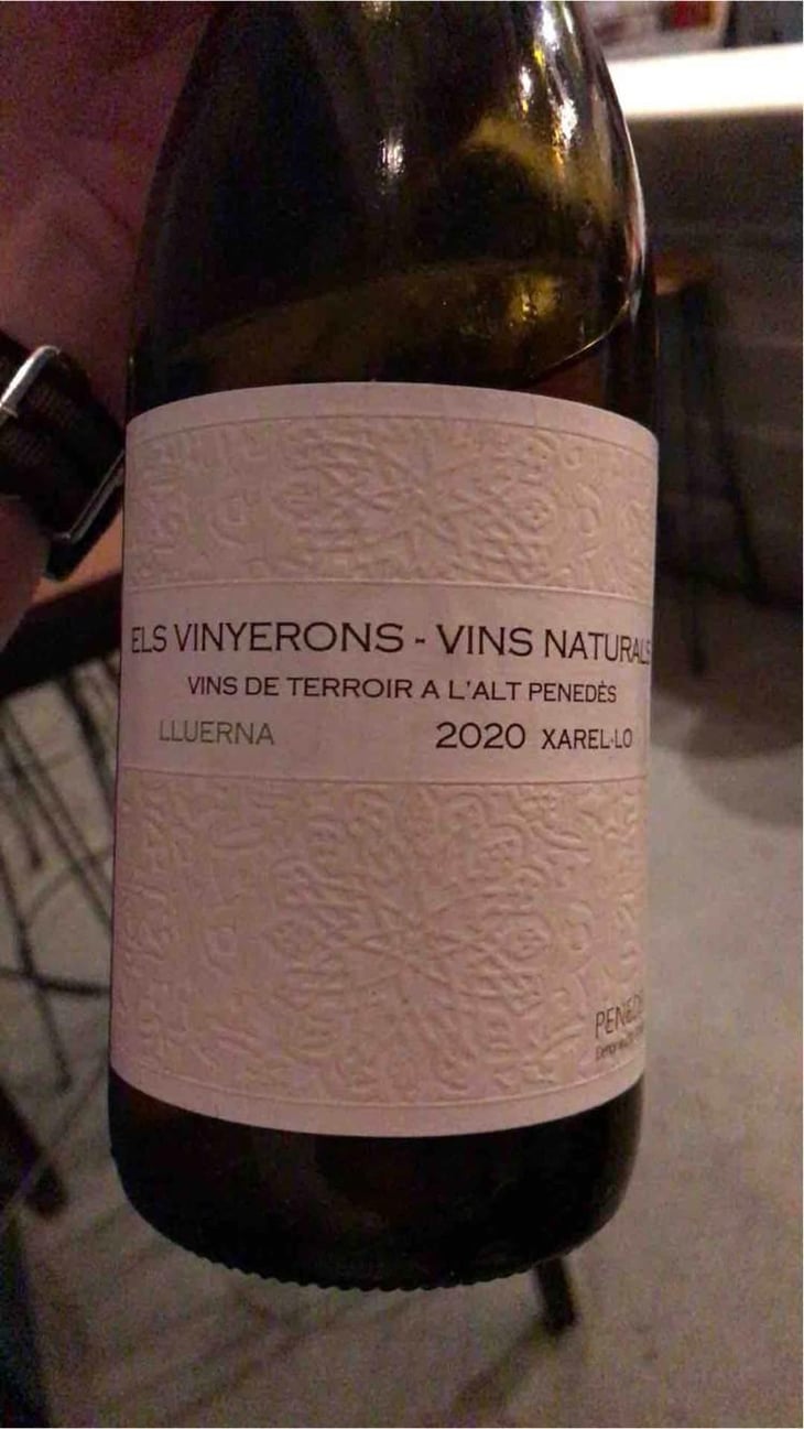 Lluerna - Els Vinyerons / Sin Project - Amós Bañeres Merinero & Alex Ruiz Masachs 