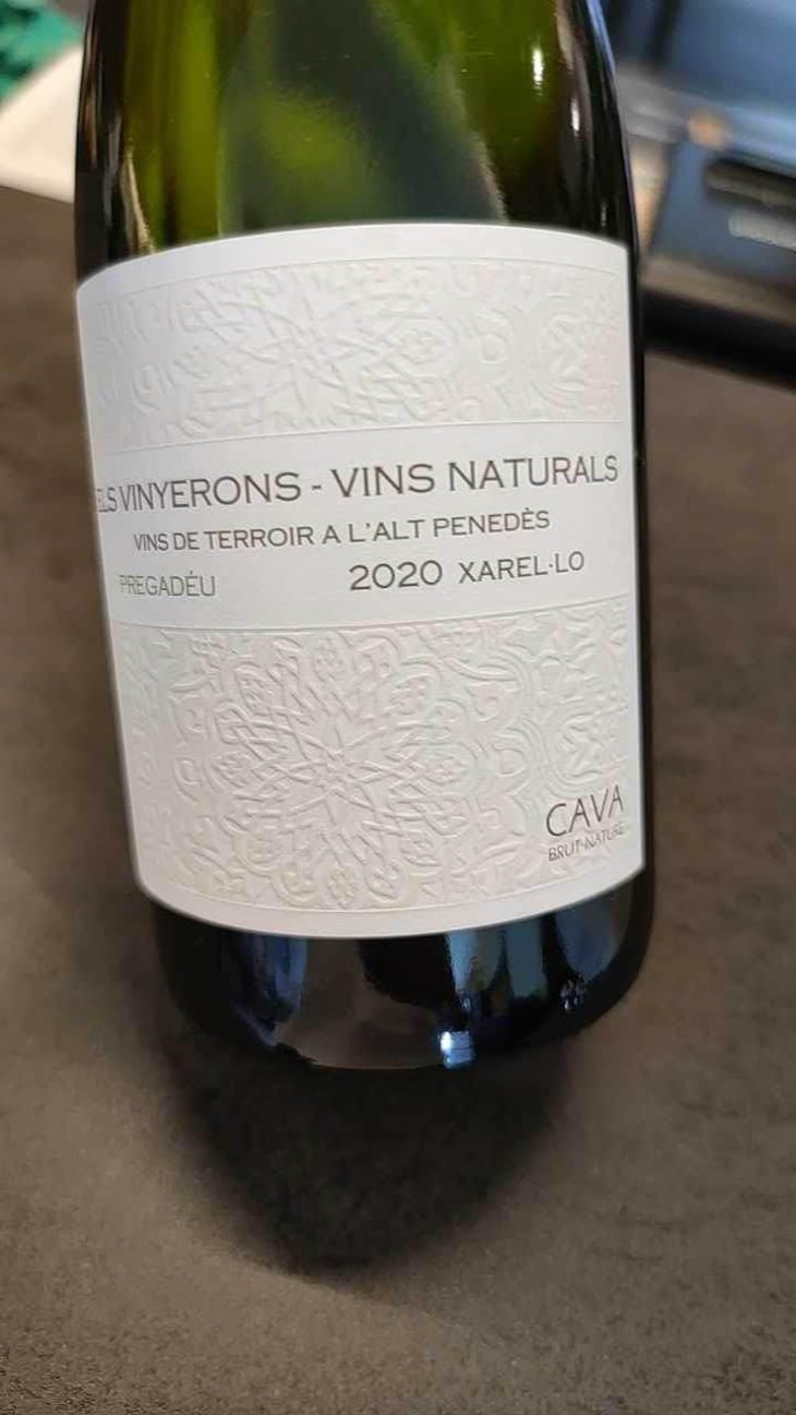 Lluerna - Els Vinyerons / Sin Project - Amós Bañeres Merinero & Alex Ruiz Masachs 