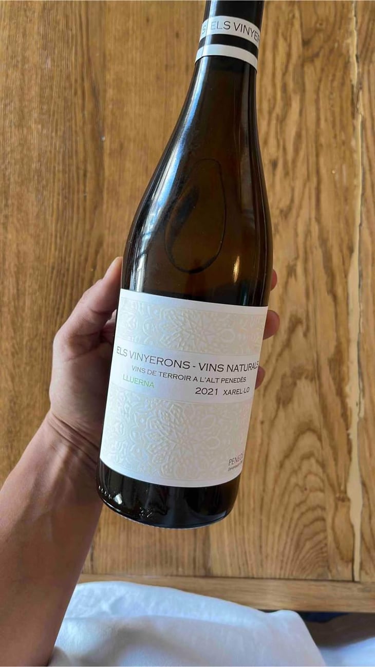 Lluerna - Els Vinyerons / Sin Project - Amós Bañeres Merinero & Alex Ruiz Masachs 