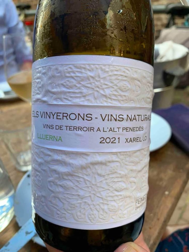 Lluerna - Els Vinyerons / Sin Project - Amós Bañeres Merinero & Alex Ruiz Masachs 