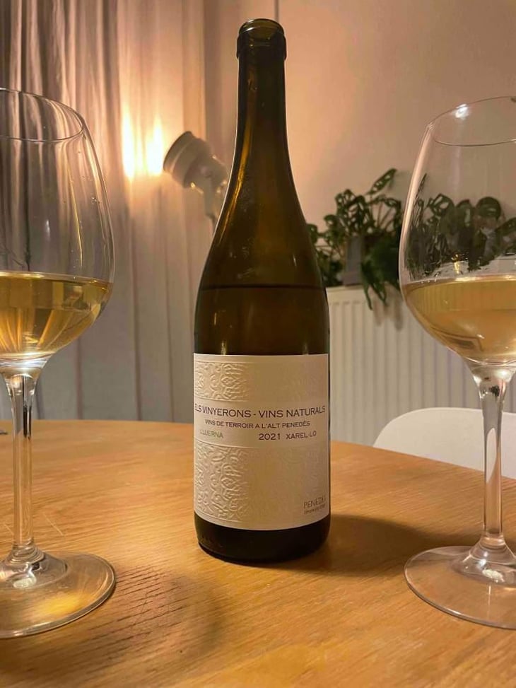 Lluerna - Els Vinyerons / Sin Project - Amós Bañeres Merinero & Alex Ruiz Masachs 