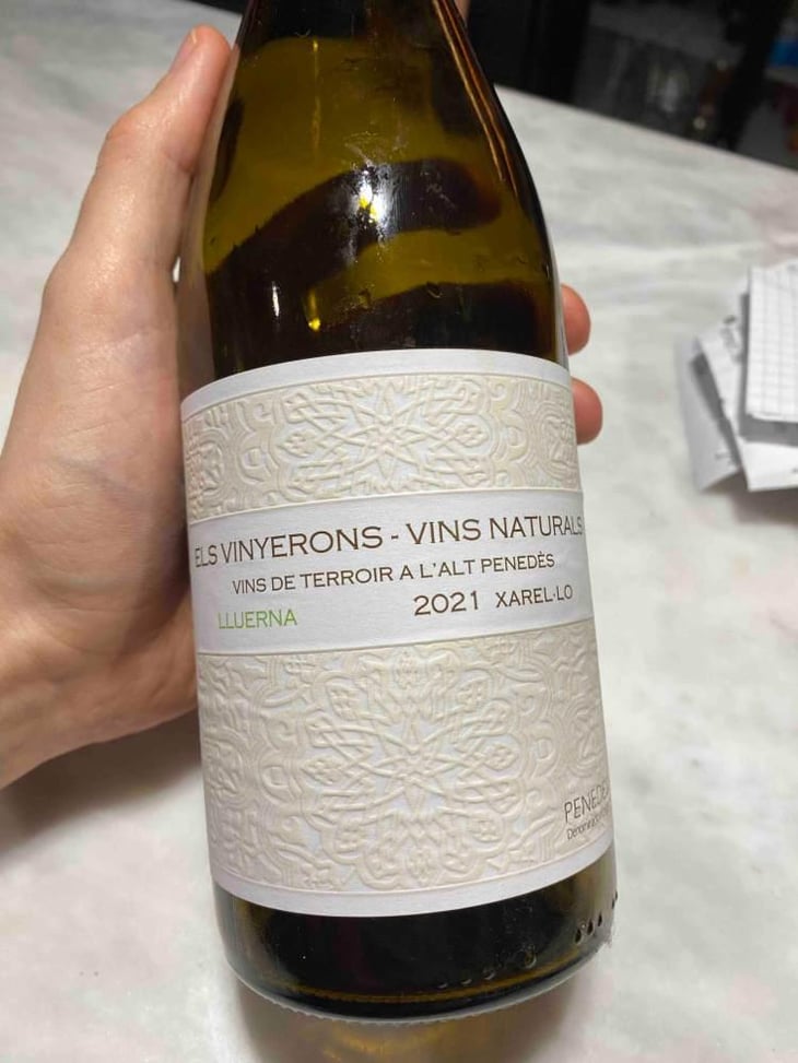 Lluerna - Els Vinyerons / Sin Project - Amós Bañeres Merinero & Alex Ruiz Masachs 