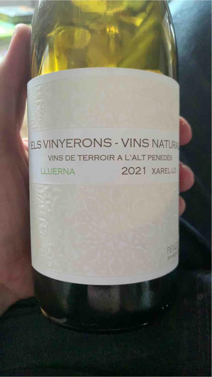 Lluerna - Els Vinyerons / Sin Project - Amós Bañeres Merinero & Alex Ruiz Masachs 