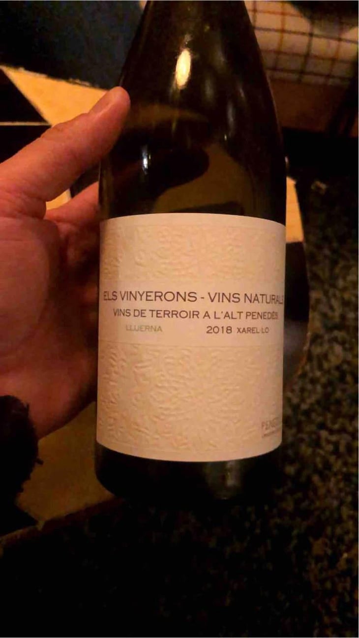 Lluerna - Els Vinyerons / Sin Project - Amós Bañeres Merinero & Alex Ruiz Masachs 