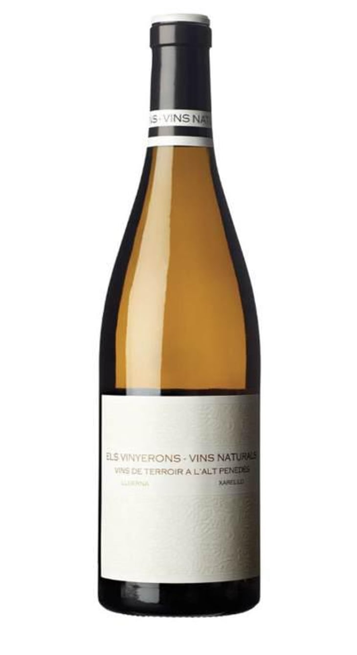 Lluerna - Els Vinyerons / Sin Project - Amós Bañeres Merinero & Alex Ruiz Masachs 